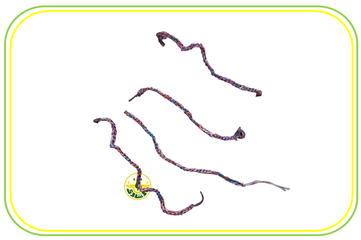 دستبند بافتنی هفت رنگ تیر و باد زرتشتیان